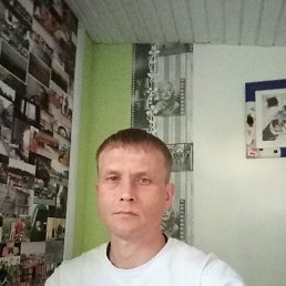 ���� �������, ��������, 41 ��� - ��������� 14 ������� 2023