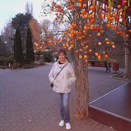 ������, �����������