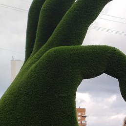 ������, ����, 63 ����