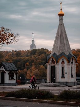 �����������