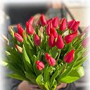 ���� �������, ������ - ��������� 3 ��� 2025 � ������ ���� ����������