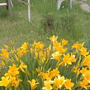 ���� ������� �., ������ - ��������� 3 ���� 2025 � ������ ������ ��������