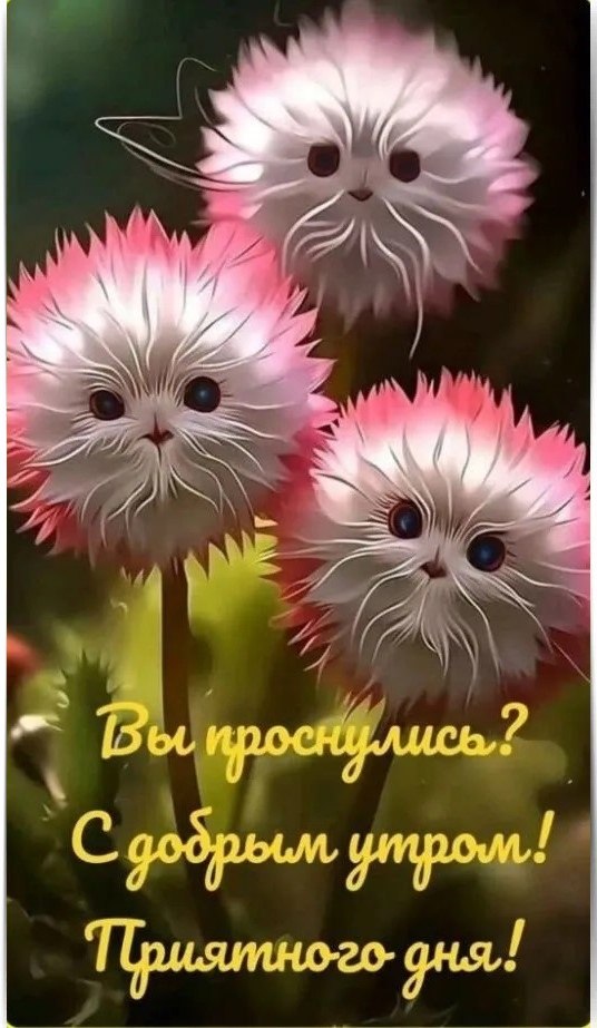 17 ... ...  ! *************************