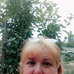  , 43, 