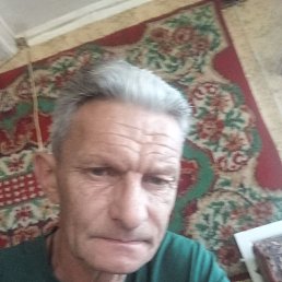 , 56, 