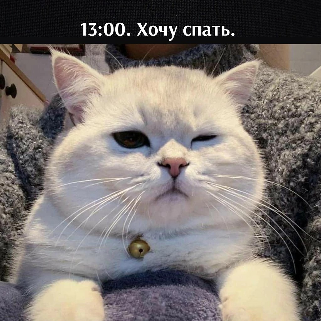       - 6  2025  03:34 - 2