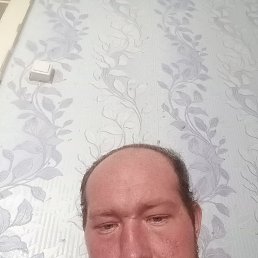 , 26, 