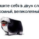 ���� ���������, ������, 54 ���� - ��������� 19 ������� 2026 � ������ ������ ��������