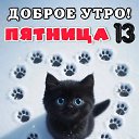 ���� ���, ������, 50 ��� - ��������� 18 ������� 2026