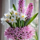 ���� Randar, ������� - ��������� 29 ����� 2026 � ������ ������ ��������