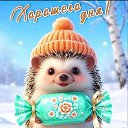 ���� Nik, ���������, 46 ��� - ��������� 12 ������ 2026