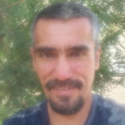 ������, �������, 45 ���