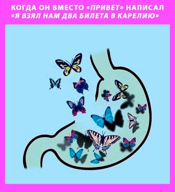 ���������� ������� ����� � ���-20 ������������� �������� �������������� �����������������
