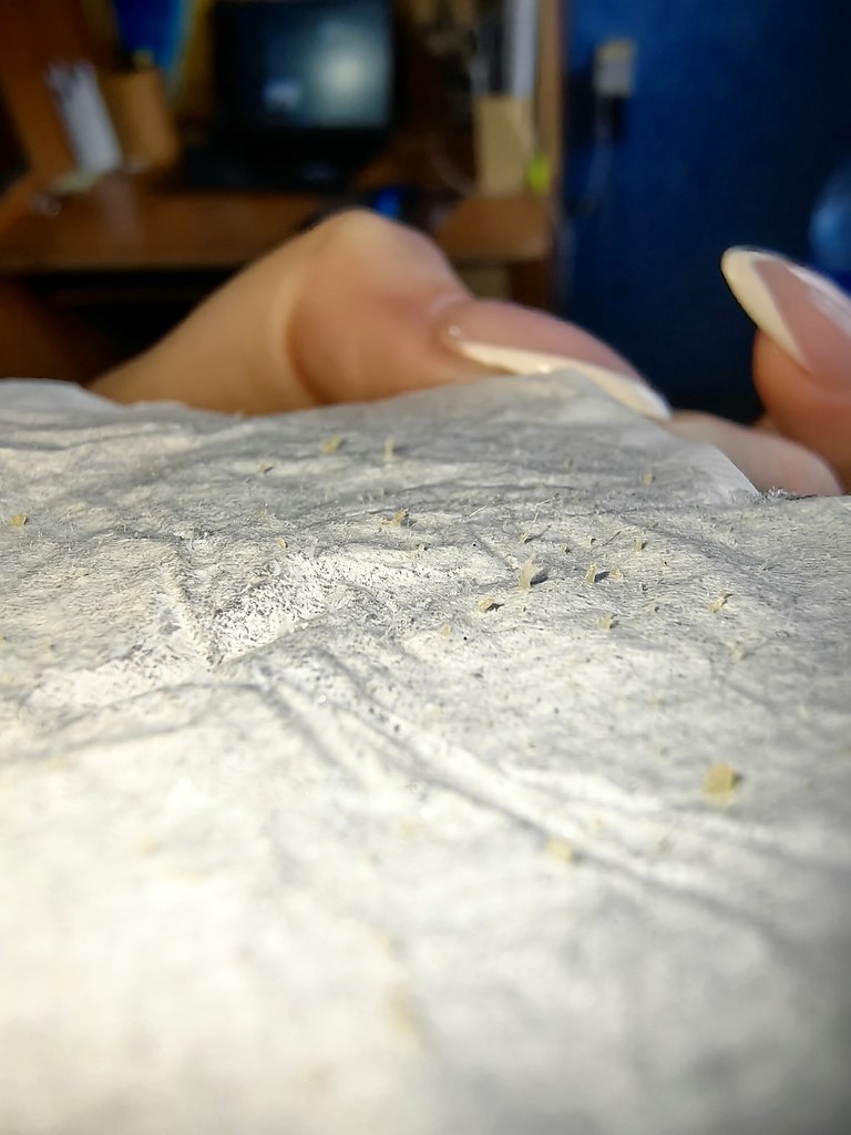 ��o ����ee cpe�c��o o� ��p��� �o�e�! �e� 5 �a�a� �a�a���a�a �a��� �ac��, �o ��� �p��o� ���a�� �a��� ... - 2