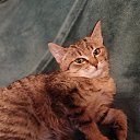 ���� ������, ������, 56 ��� - ��������� 5 ������ 2023 � ������ ���� ����������