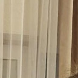 �������, �����, 54 ����