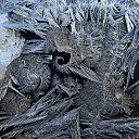 ���� Dba Lavy, ������ �������� - ��������� 18 ������ 2024 � ������ ������ ��������