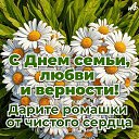 ���� �����, ������� - ��������� 8 ���� 2026 � ������ ������ ��������