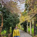 ���� �����, ����, 62 ���� - ��������� 8 ������� 2023 � ������ ���� ����������