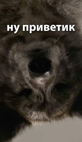 ��� ����� ��. - 5