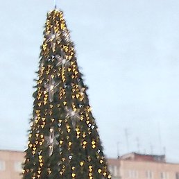 �������, ����������, 44 ����