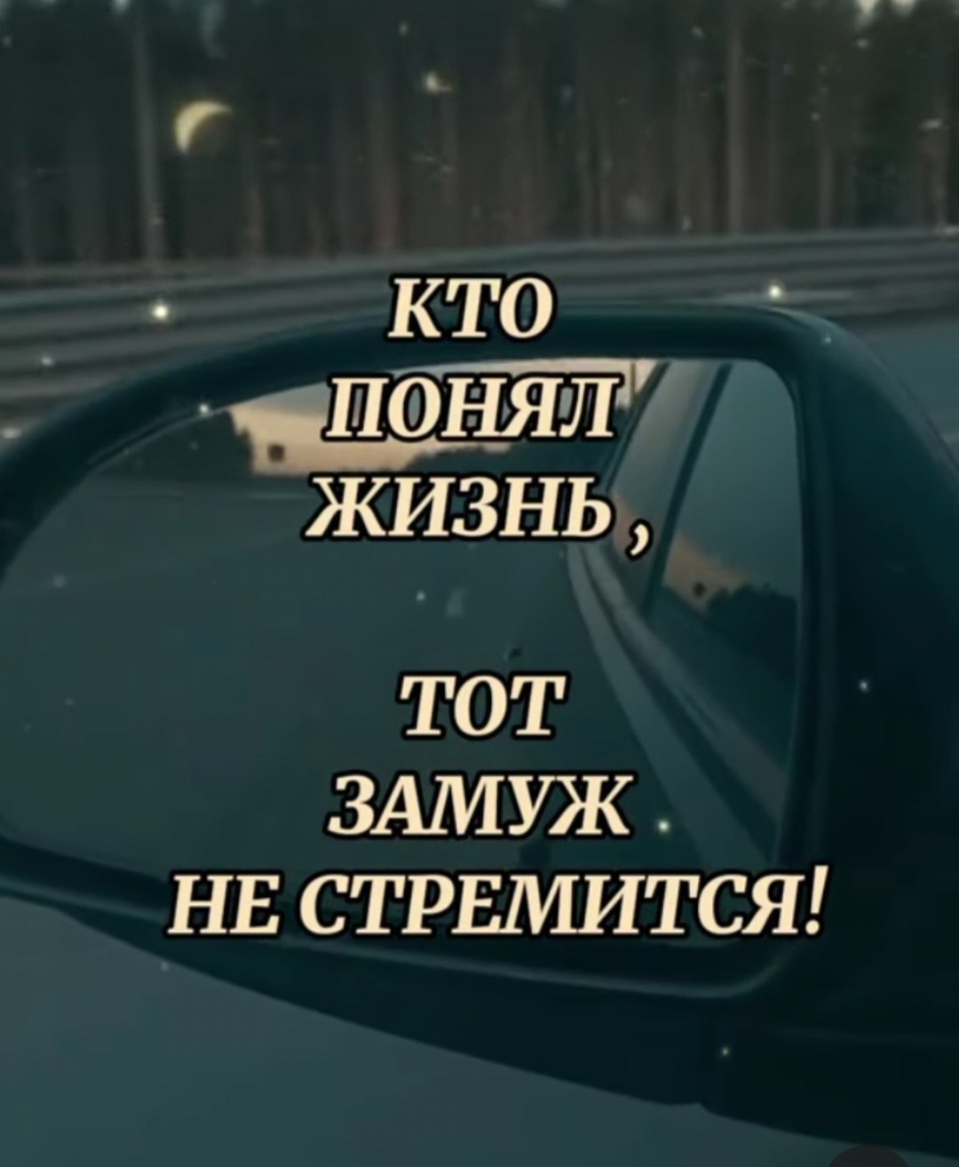 Nika - 3  2025  02:55