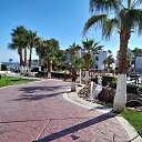 ���� �������, ���������� �����, 66 ��� - ��������� 21 ������ 2025