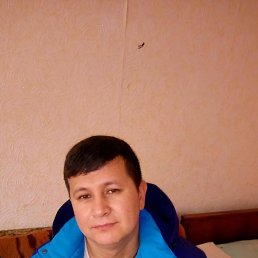 , 40, 