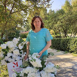 �����, ������, 49 ���