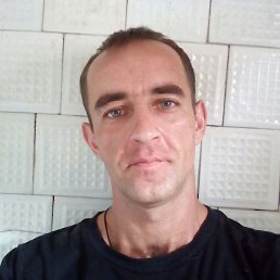 , 32, 