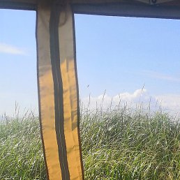 �����, ����-���������, 55 ���