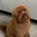 ���� ����, ������ - ��������� 30 ������� 2025 � ������ ������ ��������