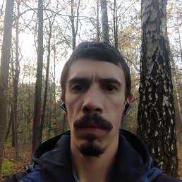 , 37, 
