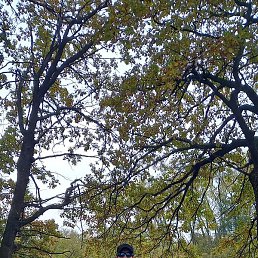 ������, ������, 38 ���