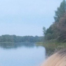 �������, ����������, 43 ����