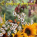 ���� ���, ����, 37 ��� - ��������� 7 ������ 2023 � ������ ���� ����������