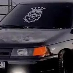 Max, ������, 25 ���