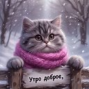 ���� ������, ������, 41 ��� - ��������� 29 ������� 2025