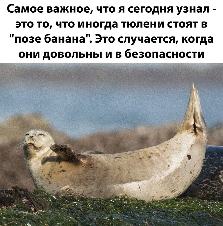 Кулинарные рецепты - 3 августа 2025 в 16:34