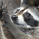 ���� �������, �����-��������� - ��������� 17 ������ 2025 � ������ ������ ��������