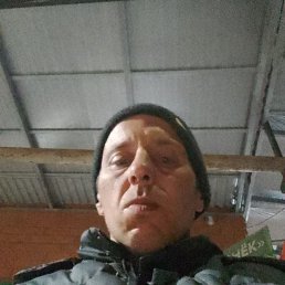 ���� �������, ���������, 41 ��� - ��������� 31 ����� 2026