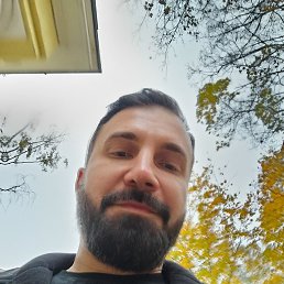 ����, ������, 41 ���