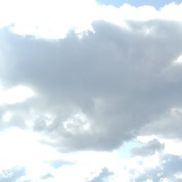 �����, ������, 54 ����