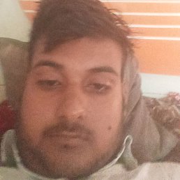 Golu, ����, 24 ����