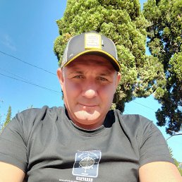 , 44 , 