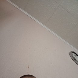 ������� ���������, ������, 42 ����