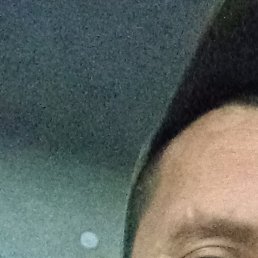 �����, ������, 40 ���