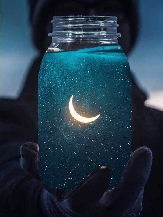 � ������� �������� ���� ������. �. �������� 