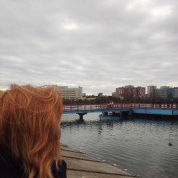 ���� ���������, ������-��-���� - ��������� 24 ������� 2026