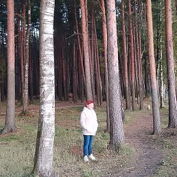 ����, �����-���������